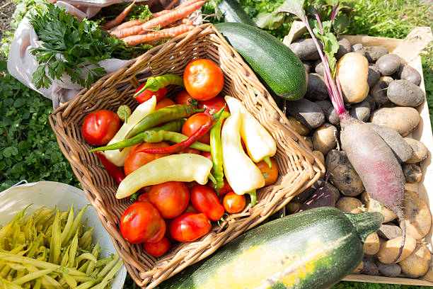 istock healthy vegetables organic farm 186579794