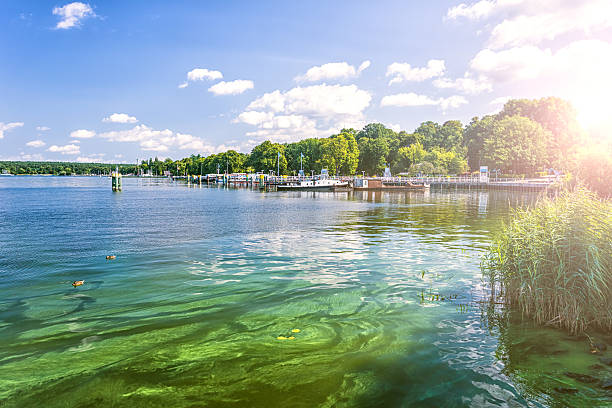 Wannsee in Berlin Summer Lake in Berlin spree river stock pictures, royalty-free photos & images