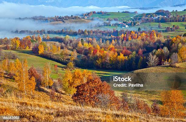 쁠라또 Banjsice 추절 슬로베니아 Europ 있는 황자작나무에 대한 스톡 사진 및 기타 이미지 - 황자작나무, 0명, 가을