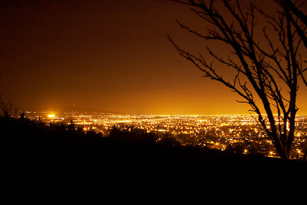 Panoramic night view of Dublin from Killiney Hill, yellow city lights at the horizon, some tree brunches without leaves on the right side, sky with warm colours, city behind the forest.