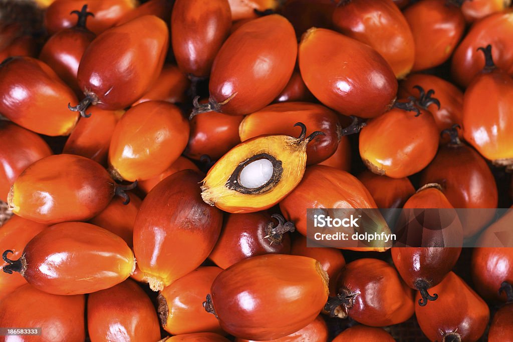 Dendezeiro de frutas - Foto de stock de Agricultura royalty-free