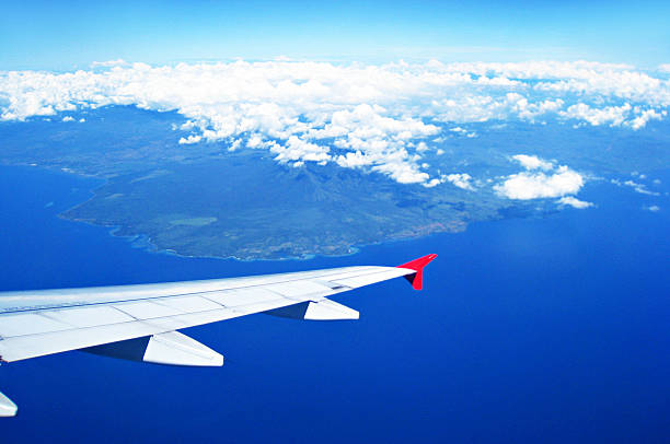 istock Top view of land and the ocean 186583654