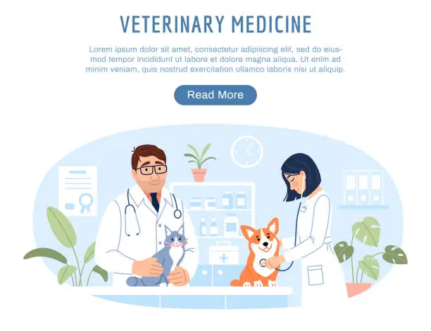 Vector illustration of Young veterinarians examining cute animals cat and dog on pet hospital background. Veterinary medicine website template with button. Flat line internet web page Vet clinic homepage vector illustration