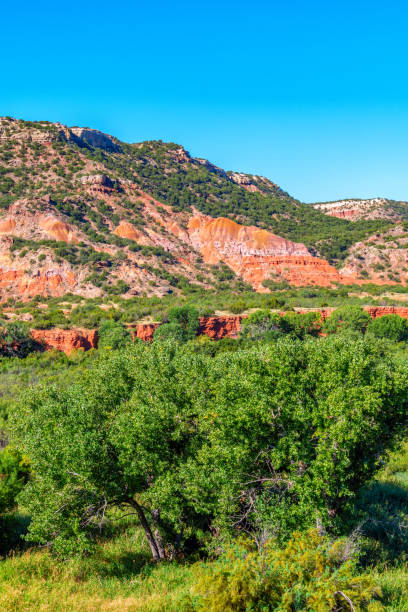 Palo Duro Canyon State Park, Texas A mountainous red-rock landscape at Palo Duro Canyon located in the northern panhandle of Texas just outside of Amarillo. texas palo duro canyon state park landscape vertical stock pictures, royalty-free photos & images