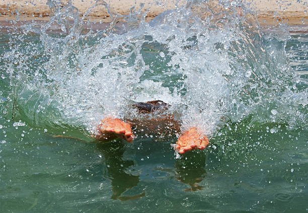 istock Swimming woman. 186585263