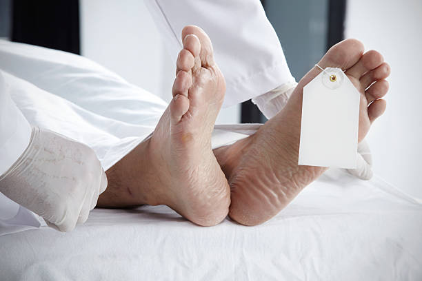 Doctor Covering Dead Man With Sheet Dead body concept. unknown gender stock pictures, royalty-free photos & images