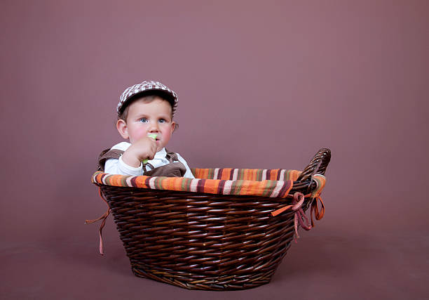 istock Baby in a Basket 186586801