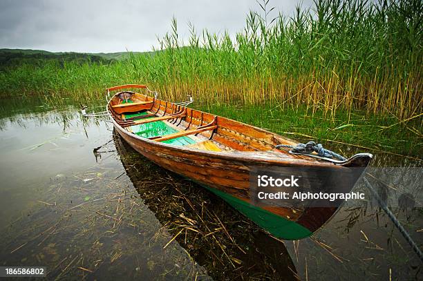 Photo libre de droit de Coniston Water banque d'images et plus d'images libres de droit de Activité de loisirs - Activité de loisirs, Angleterre, Avoir une vue d'ensemble