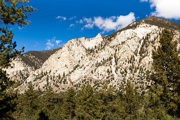 Chalk Creek Canyon, Colorado