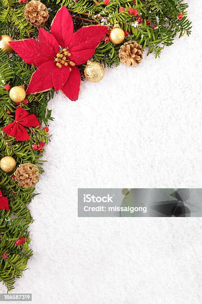 크리스마스 테두리 Copyspace 포인세티아에 대한 스톡 사진 및 기타 이미지 - 포인세티아, 흰색 배경, 리본