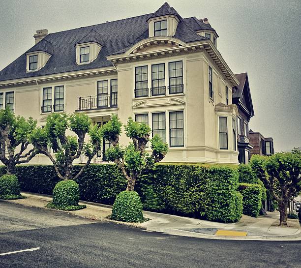 istock Residential District in San Francisco 186587507