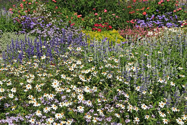 Herb and flower garden