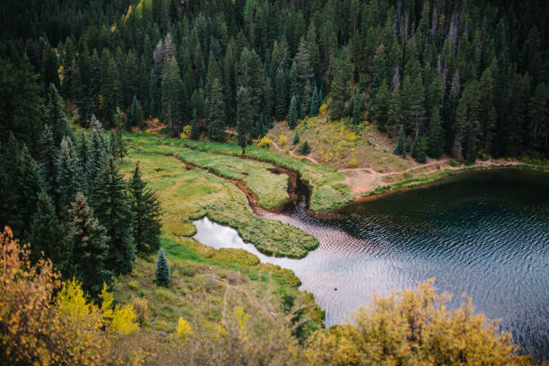 A mountain lake surrounded by pine trees and aspens in Colorado. Sylvan Lake State Park
