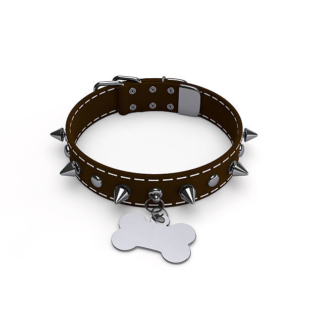 Studded Dog Collar with Tag stock photo
