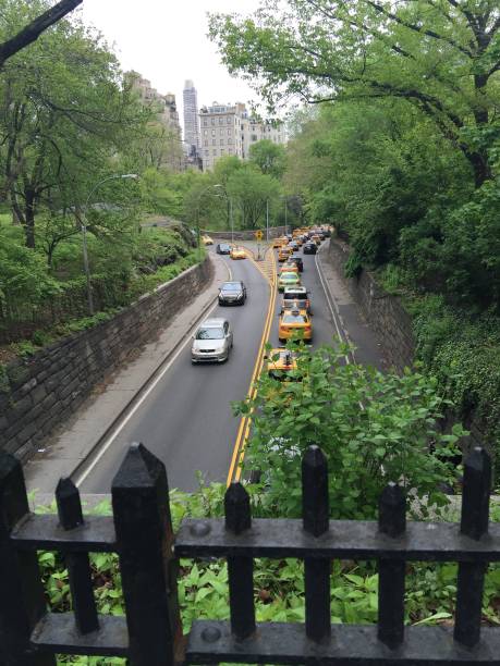istock Road Through Central Park with Taxis 1865888949