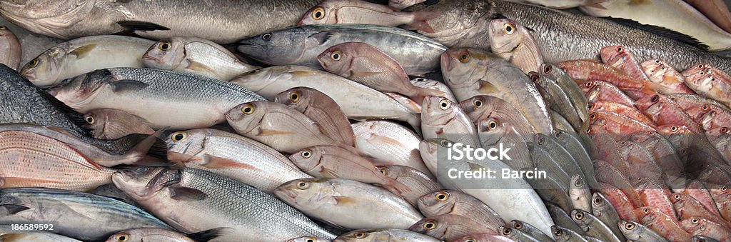 Große Auswahl von Fisch - Lizenzfrei Fischereiindustrie Stock-Foto