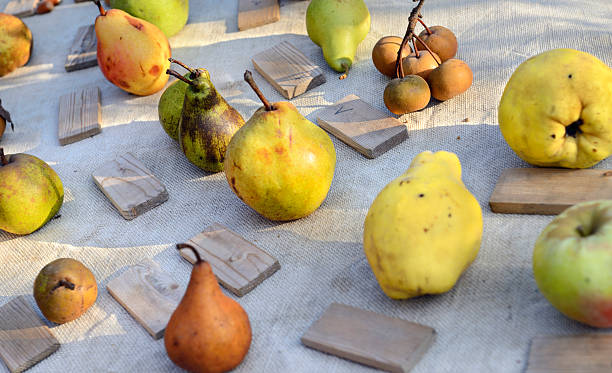 istock Fruit At Farmer's Market 186589962