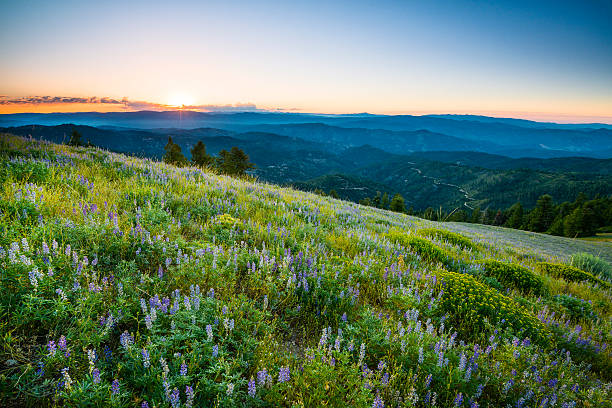 istock Beautiful sunrise in Idaho mountain 186590056