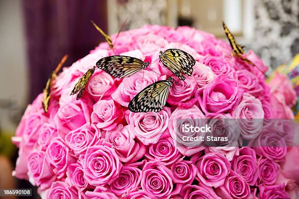 Foto de Borboletas Com Um Buquê De Rosas Corderosa e mais fotos de stock de Bouquet - Bouquet, Rosa - Flor, Amor