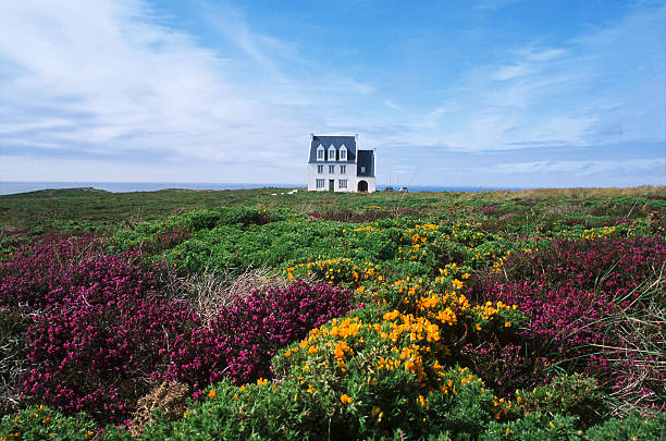 Small house in the Bretagne Seen in the Bretagne - this house was a well know place, built without a permit and demolished in 1996. It was an icon of the Bretagne. brittany france stock pictures, royalty-free photos & images