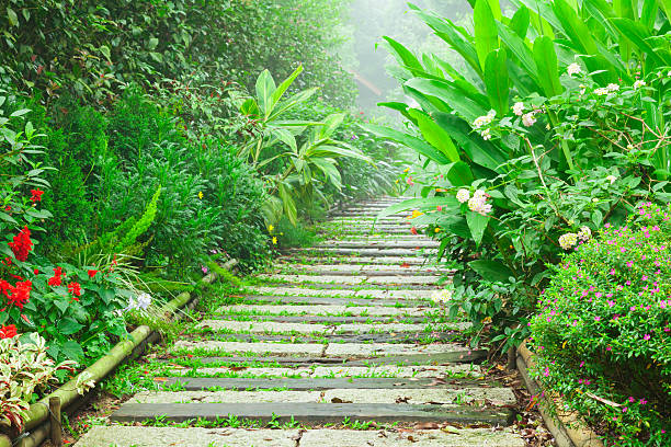 istock Green Stone Walkway in Beautiful Garden 186590635