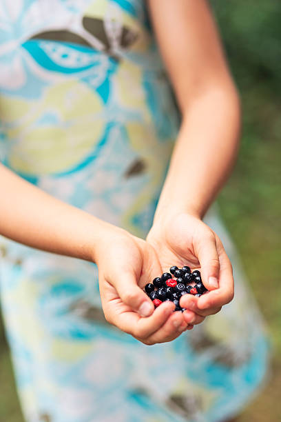 istock Handful of forest fruit 186591013