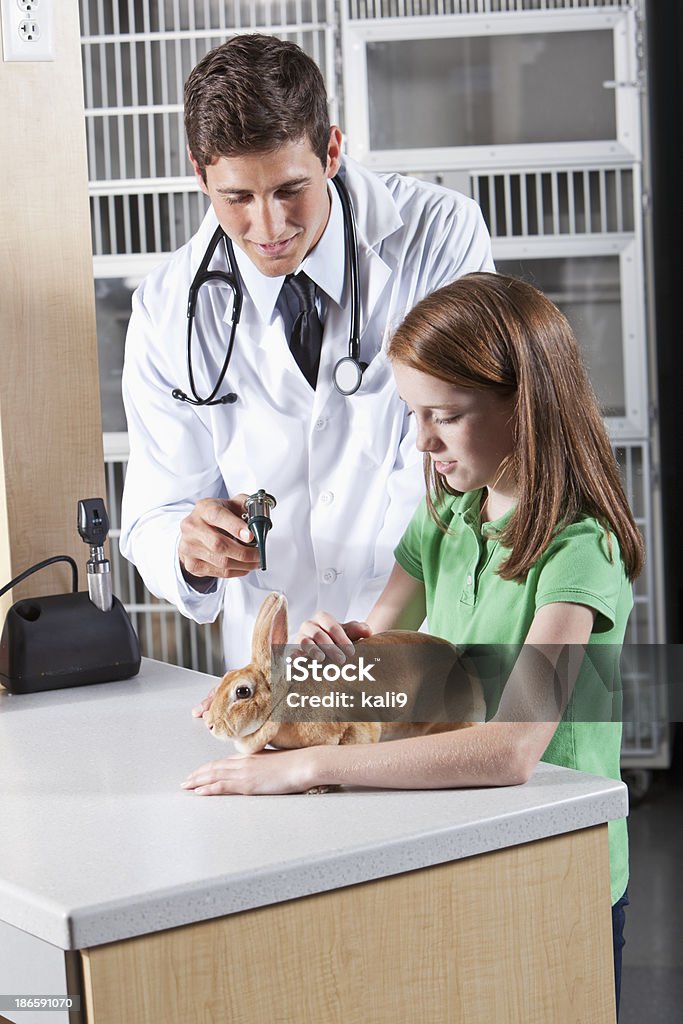 Chica tomando por conejo en vet - Foto de stock de 10-11 años libre de derechos