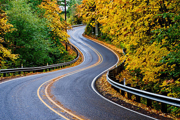 istock Road winds through the country, surrounded by Autumn colors 186591335
