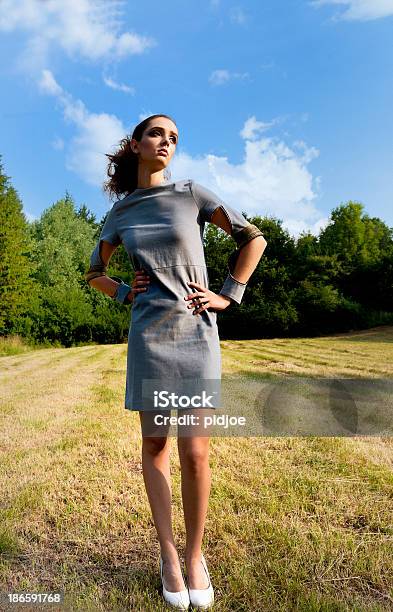 Photo libre de droit de Mannequin Posant Sur Prairie banque d'images et plus d'images libres de droit de Adulte - Adulte, Cadrage en pied, Cheveux attachés