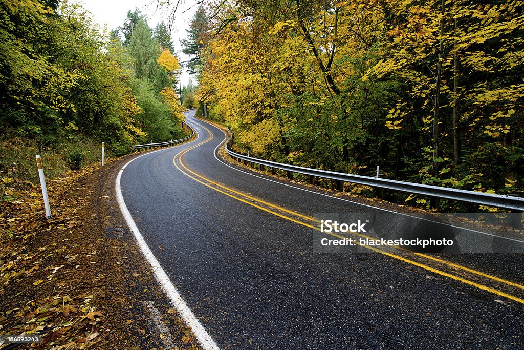 Estrada Sinuosa rodeada por outono folhas - Royalty-free Alfalto Foto de stock