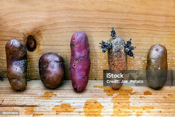 Tater Skład - zdjęcia stockowe i więcej obrazów Bez ludzi - Bez ludzi, Czerwony ziemniak, Drewno - Tworzywo