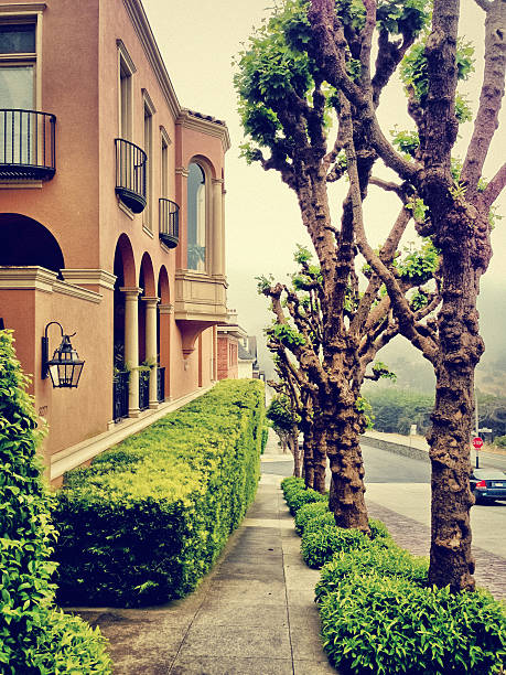 istock Residential District in San Francisco 186593911