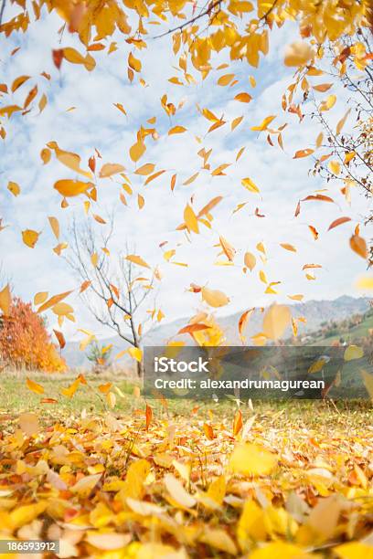 Осенние Листья — стоковые фотографии и другие картинки Абстрактный - Абстрактный, Вертикальный, Время года