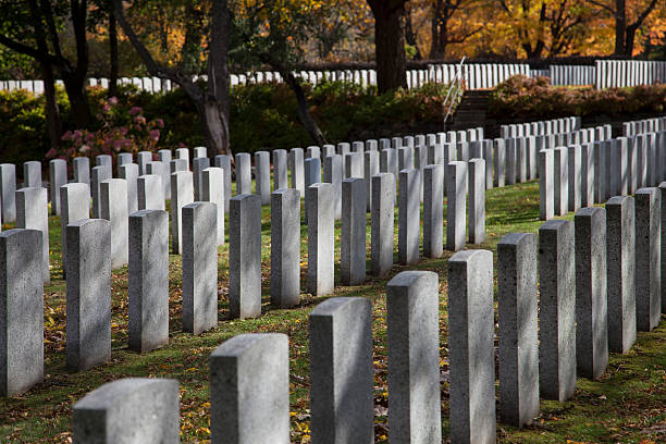 istock soldier's gravestones in October 186593952