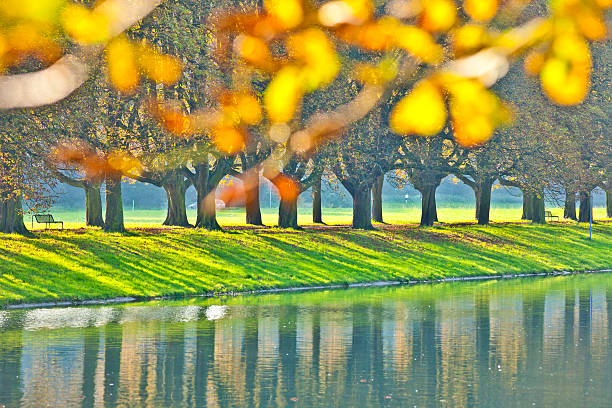 The town forest of Cologne is one of the largest inner-city park resources in Europe. The town forest surrounds the whole town of Cologne. In every season the forest is very popular for any kind of outdoor activity.