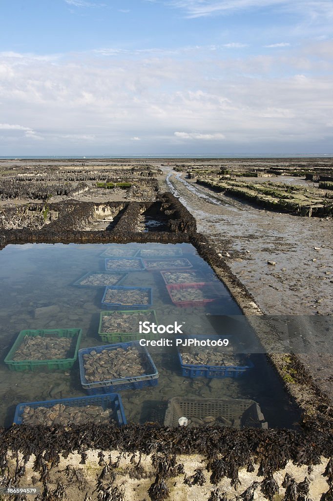 Cancale - Tanks of Oysters and mussels Cancale - Oysters and mussels farm's during low tide Cancale Stock Photo