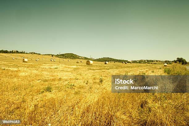 Paisagem Toscana - Fotografias de stock e mais imagens de Agricultura - Agricultura, Ajardinado, Amanhecer