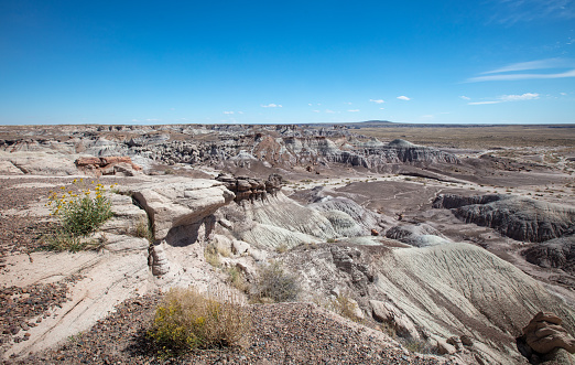 Dry arid canyon wash in the Petrified Forest National Park in Arizona United States
