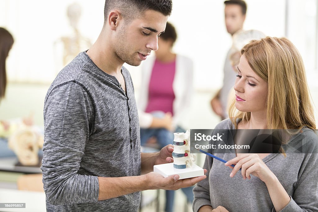 Deux étudiants Colonne vertébrale humaine - Photo de Chiropractie libre de droits