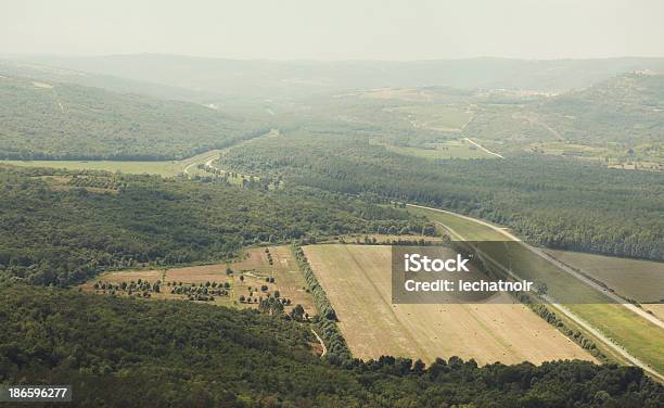 Photo libre de droit de Fertile De Champs À Laube banque d'images et plus d'images libres de droit de Agriculture - Agriculture, Arbre, Au loin