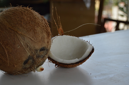 The Dried Coconut is a fruit that comes from the coconut tree (Coccus nucifera.), a plant of great socioeconomic importance, which in addition to producing water and the fruit, generates a large amount of by-products and residues. Dry Coconut is a term used to refer to dehydrated or dried coconut, which is made by removing the water from the fresh coconut and letting it dry in the open air or in special ovens.