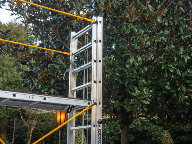 istock Staircase by the tree. Metal ladder near a bush. 1865975090