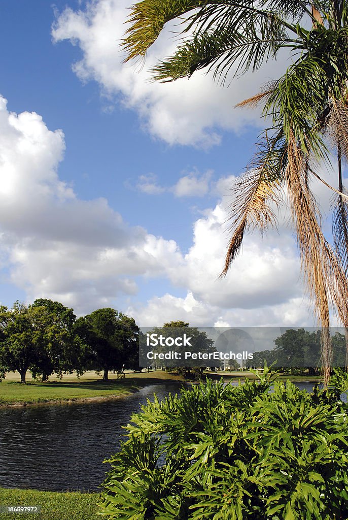Озеро в Уэстоне, Форт-Лодердейл, Флорида - Стоковые фото Флорида - США роялти-фри