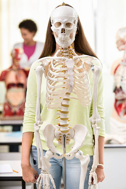 istock Girl behind human skeleton in the classroom 186598544