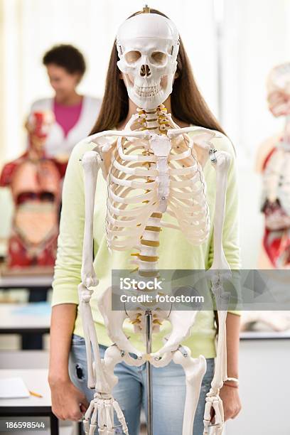 Dziewczyna Z Szkielet Człowieka W Klasie - zdjęcia stockowe i więcej obrazów Szkielet człowieka - Szkielet człowieka, Nastolatek, Klasa
