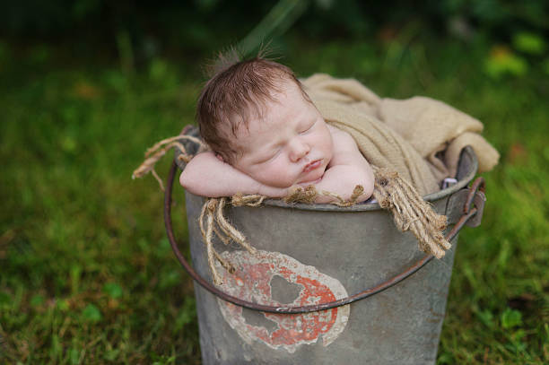 istock Newborn Boy Sleepingin Bucket 186600288