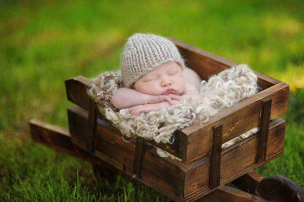 istock Newborn Boy Sleeping in Wheelbarrow 186600289