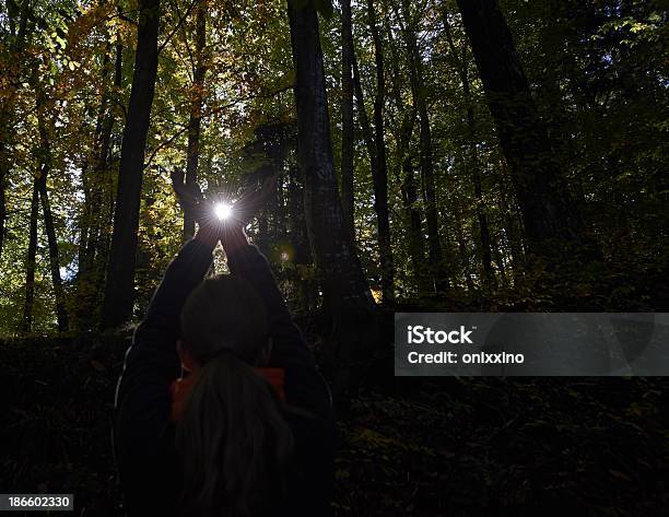 Mujer En Otoño Madera Haciendo Joga Hdr Foto de stock y más banco de imágenes de Adulto - Adulto, Aire libre, Bosque