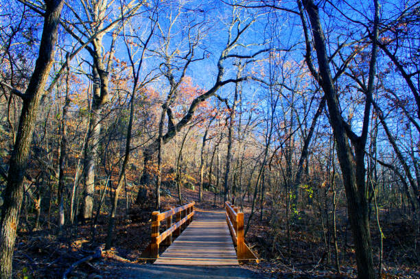 Wooden walkway in the forest during autumn season. Turkey Mountain Tulsa Oklahoma.