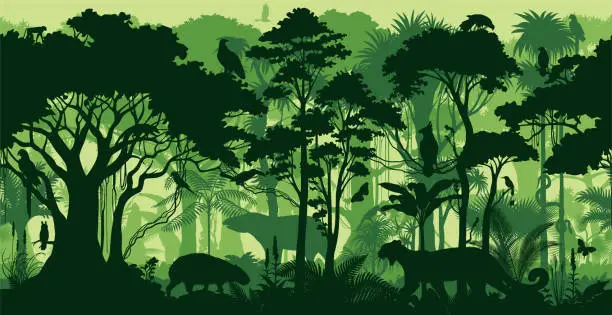 Vector illustration of Vector horizontal seamless tropical rainforest Jungle background with animals